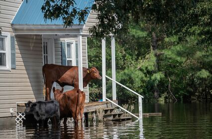 De woningpas breidt uit