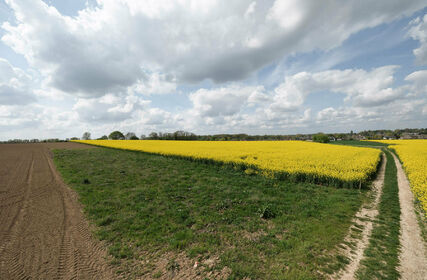 Landbouwgrond te koop in Zaventem Sterrebeek