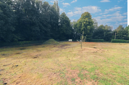 Terrain à bâtir à vendre à Tervuren