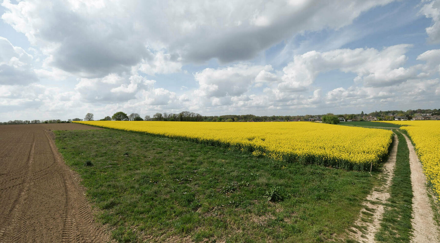 Agricultural land for sale in Zaventem Sterrebeek