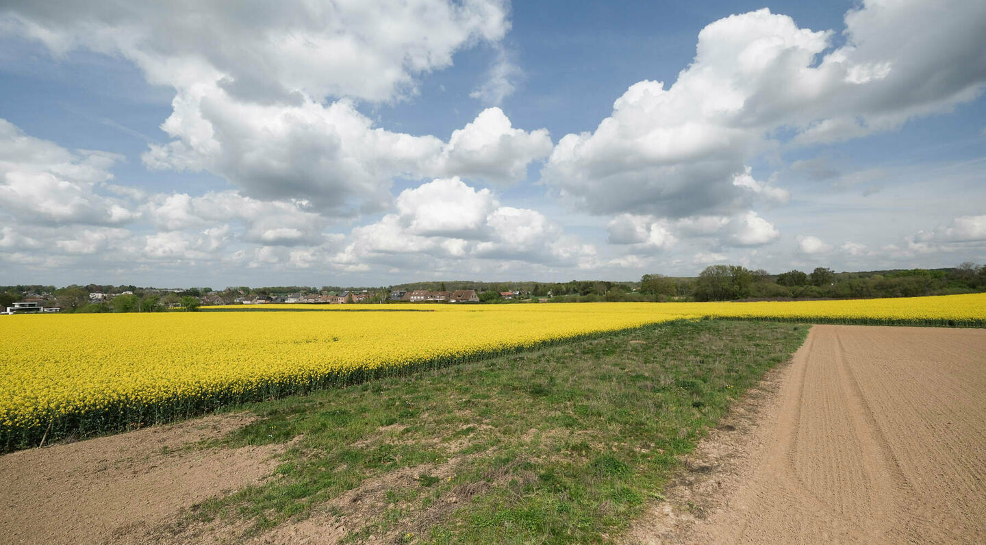 Agricultural land for sale in Zaventem Sterrebeek