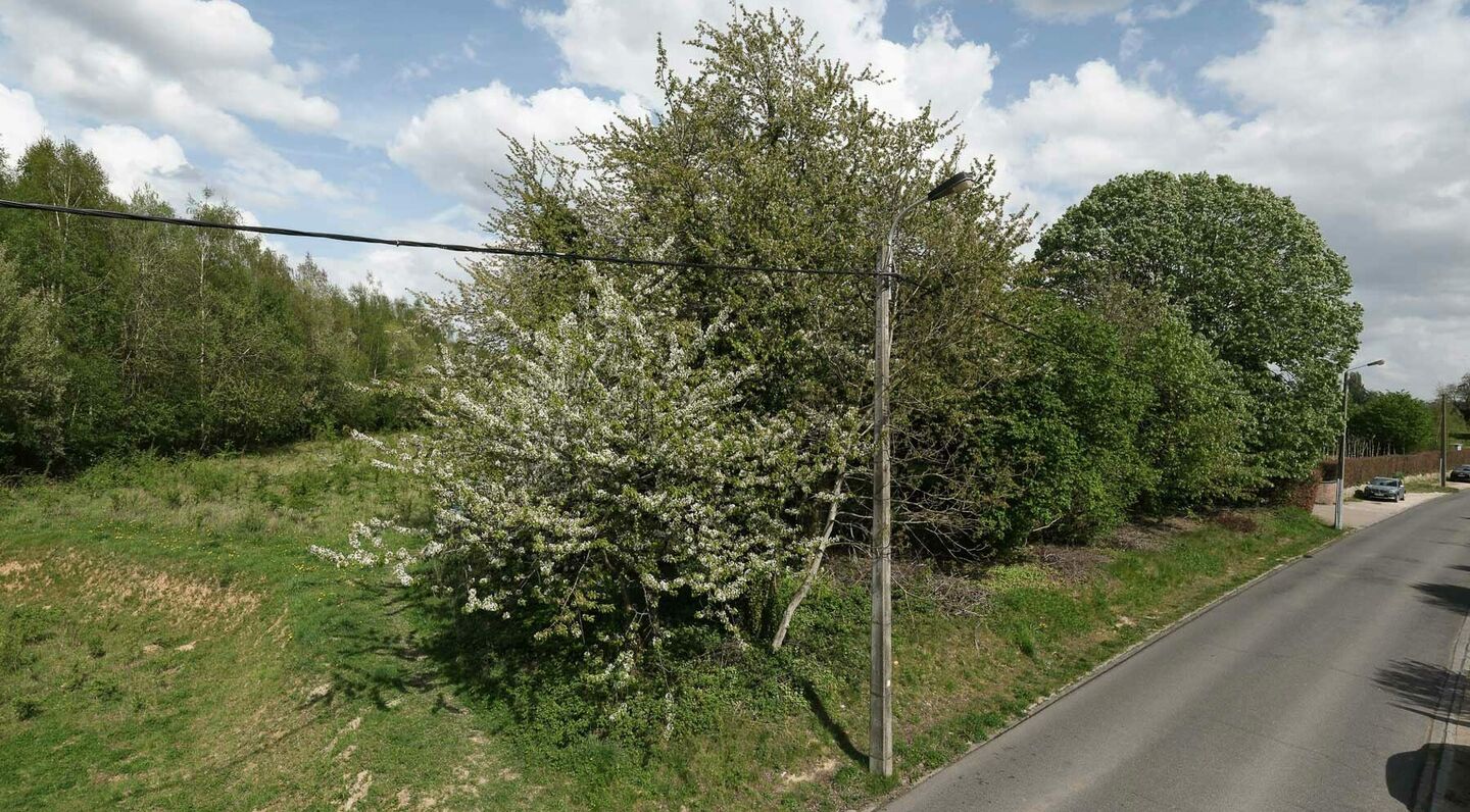 Agricultural land for sale in Zaventem Sterrebeek