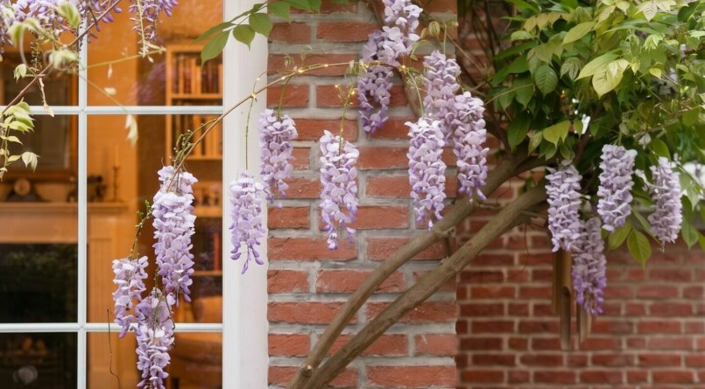 Appartement à vendre à Schaarbeek
