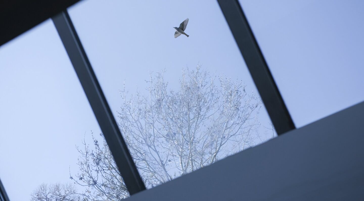 Appartement &agrave; vendre &agrave; Zaventem