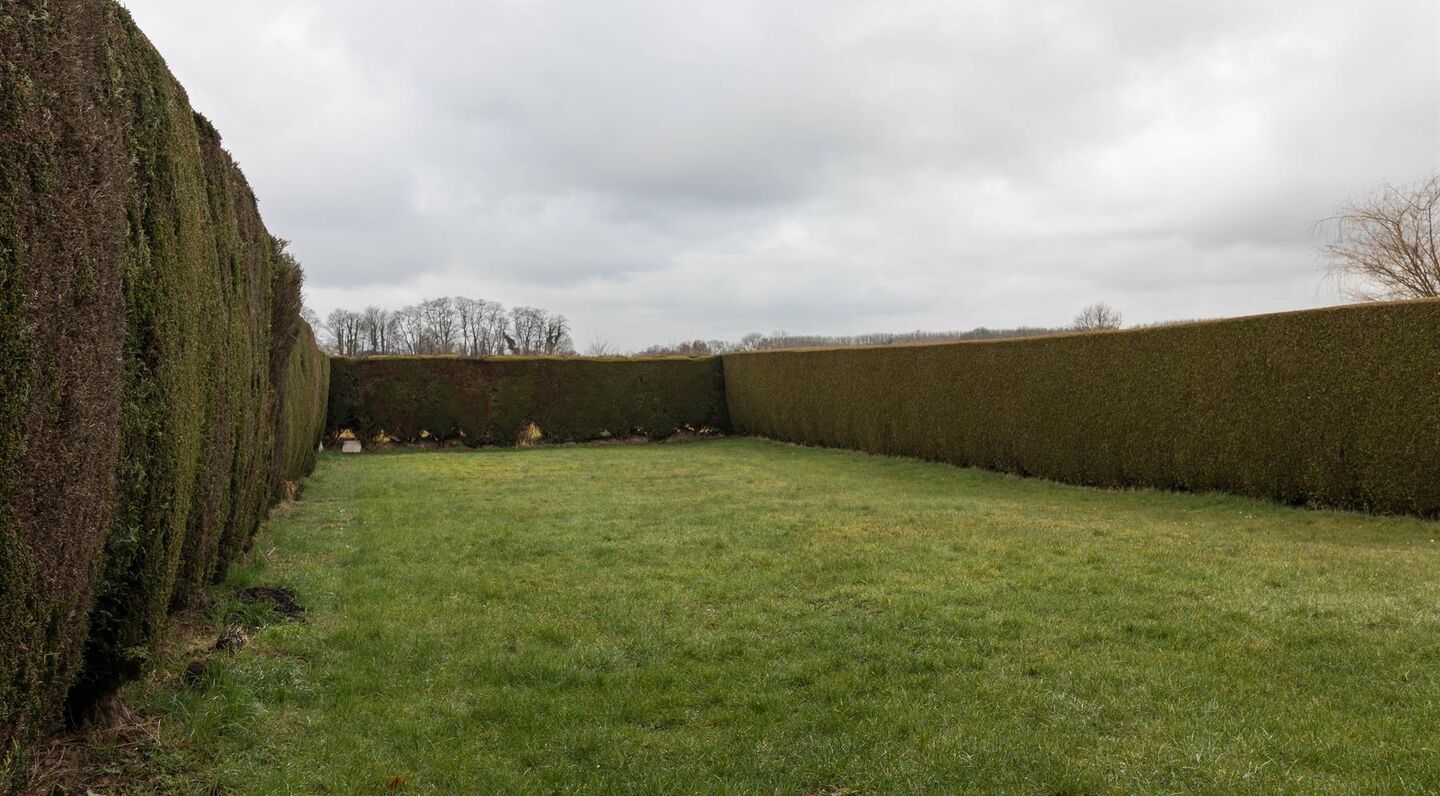 Bel-etage for rent in Sterrebeek