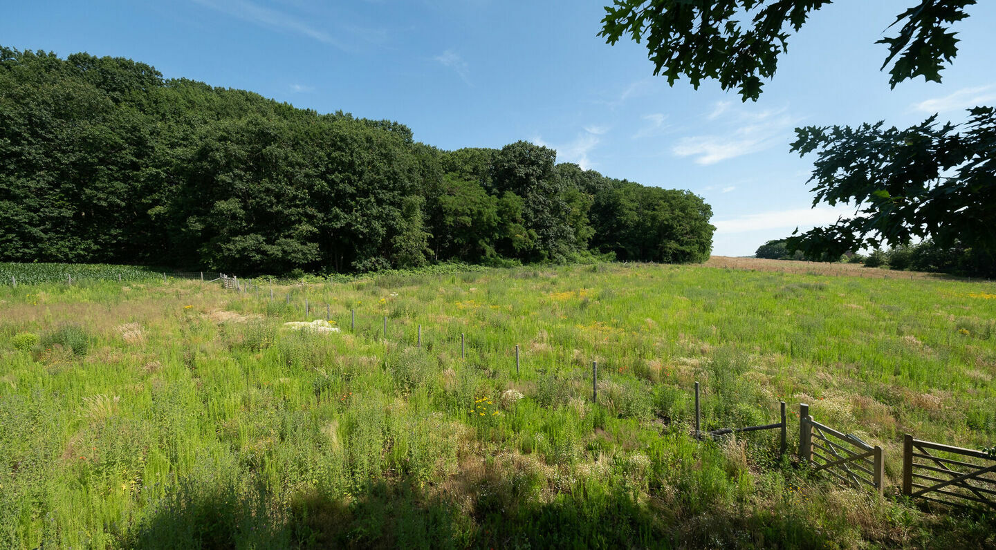 Bouwgrond te koop in Grez-Doiceau