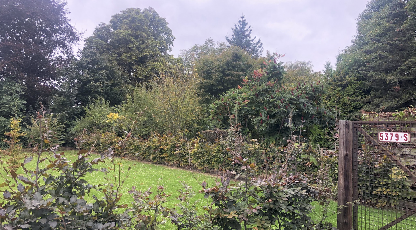 Flat for rent in Sterrebeek