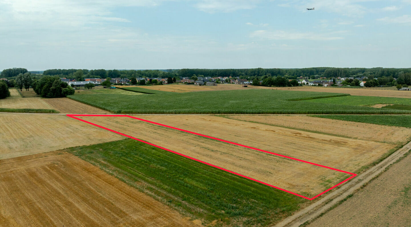 Landbouwgrond te koop in Kortenberg