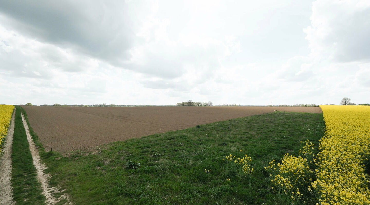 Landbouwgrond te koop in Zaventem Sterrebeek