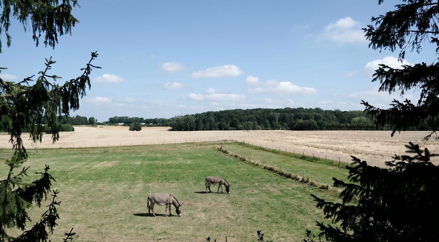 Maison unifamiliale &agrave; vendre &agrave; Sterrebeek