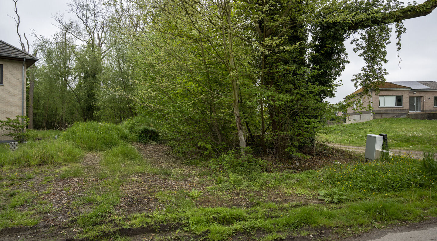 Terrain à bâtir à vendre à Kampenhout