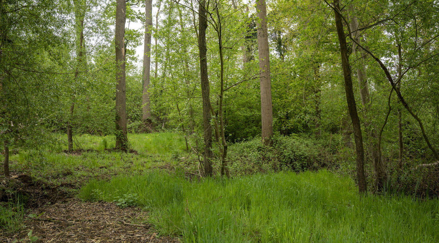 Terrain à bâtir à vendre à Kampenhout