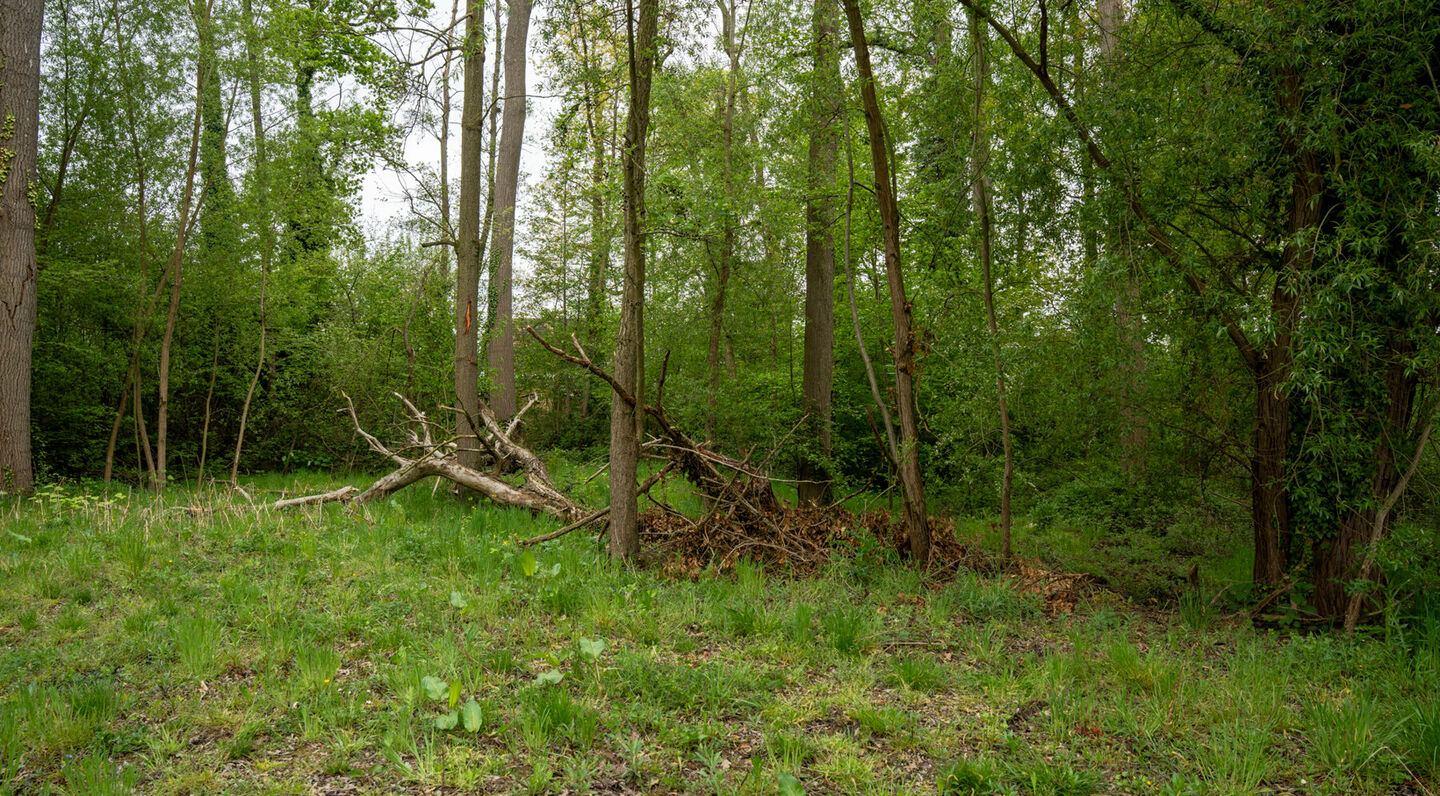 Terrain &agrave; b&acirc;tir &agrave; vendre &agrave; Kampenhout