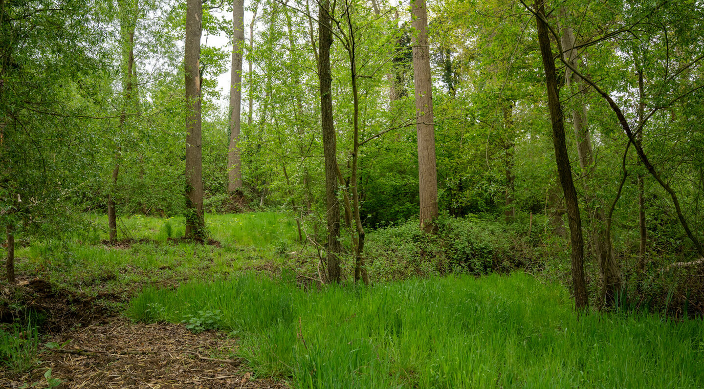 Terrain &agrave; b&acirc;tir &agrave; vendre &agrave; Kampenhout
