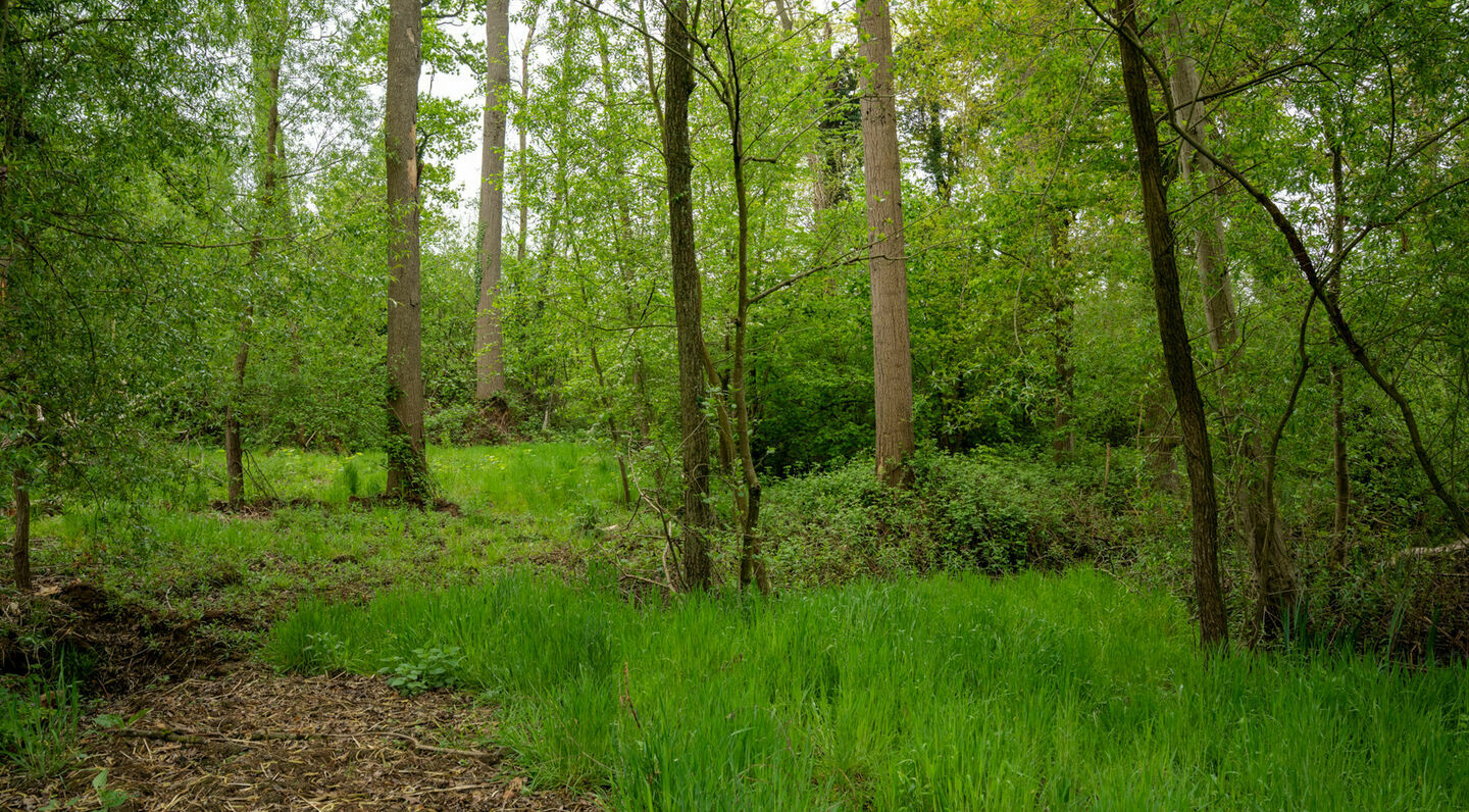 Terrain à bâtir à vendre à Kampenhout