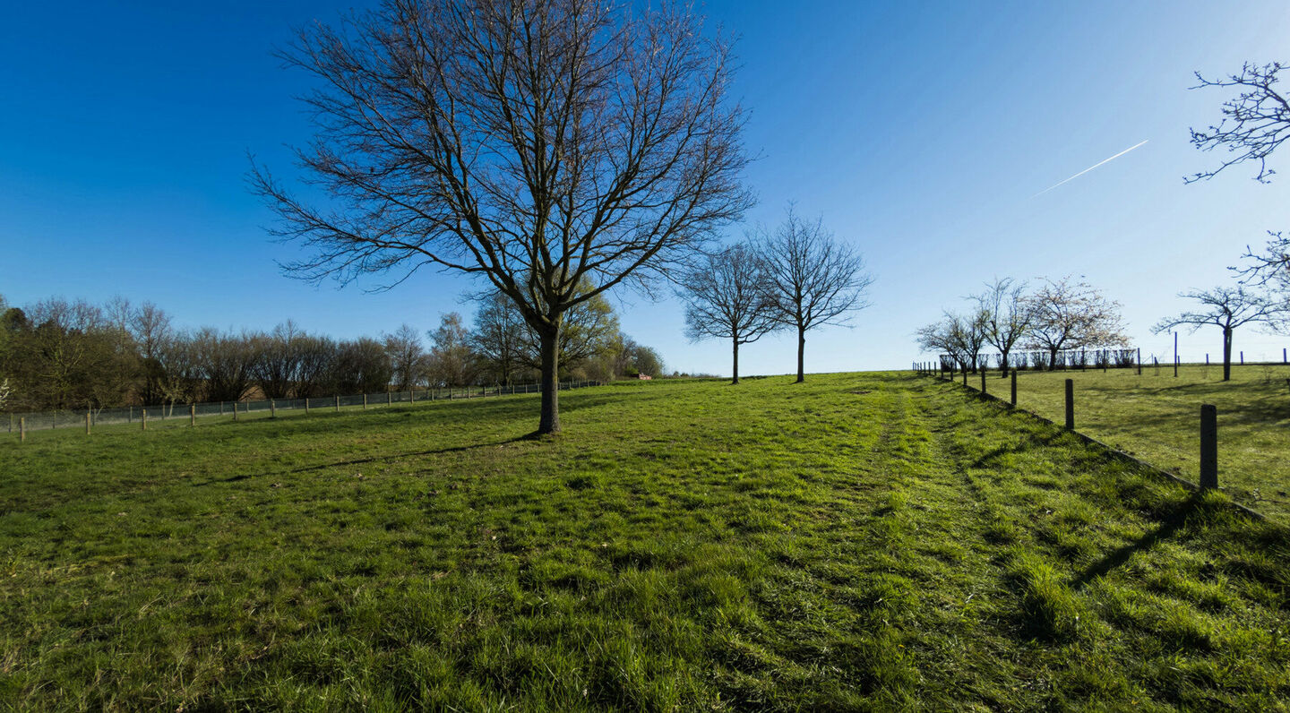 Terrain à bâtir à vendre à Tervuren