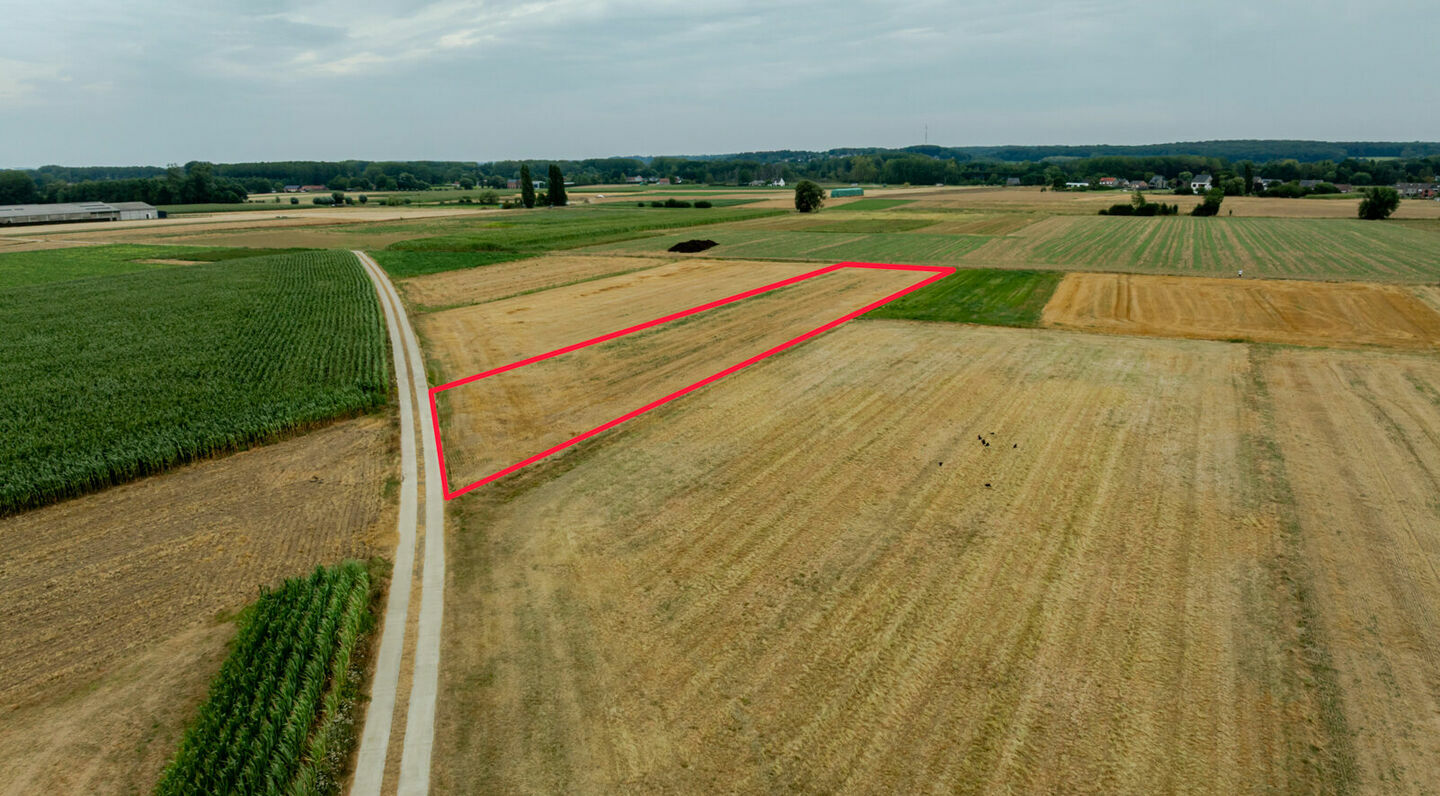 Terrain agricole à vendre à Kortenberg
