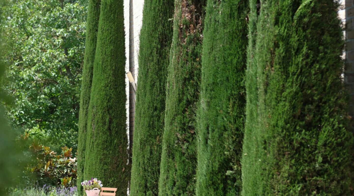 Villa à vendre à Kraainem