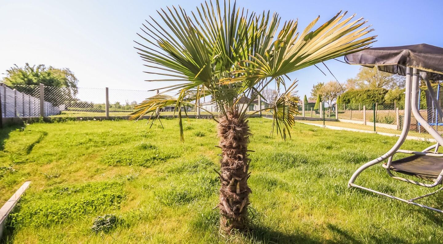 Villa for rent in Vossem