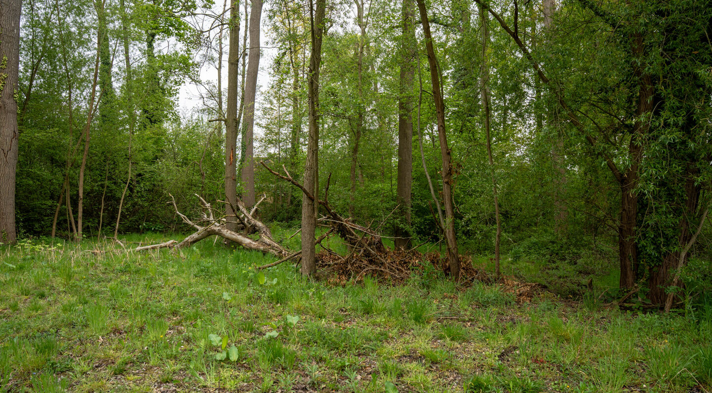 Villa for sale in Kampenhout